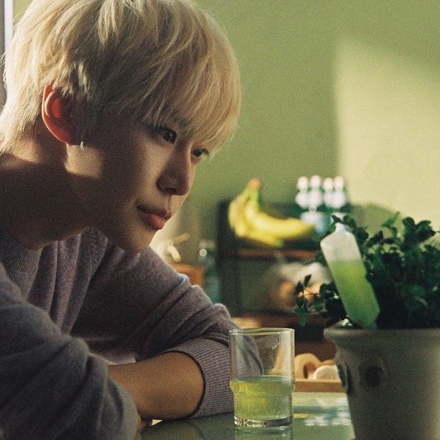 เจ้าพวกนี้กำลังไปหาทุกคนน้าา มาปลูกรอโดยองกันเถอะ กว่าโดยองจะออกจากรร.ประจำคงได้ต้นโตเต็มวัยพอดี✨🍀