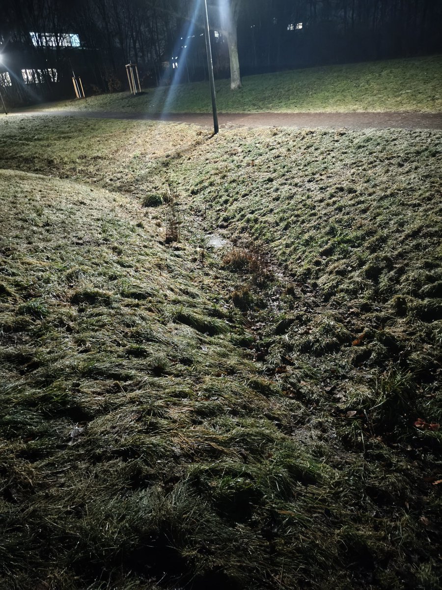 Henry9929's tweet photo. Starker gefrierender Regen/Eisregen heute nachts und heute früh: https://t.co/gFztaUkbXm