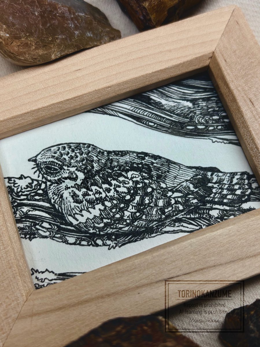 缶古鳥 2/8原画市 (@torinokanzume) / Posts / X