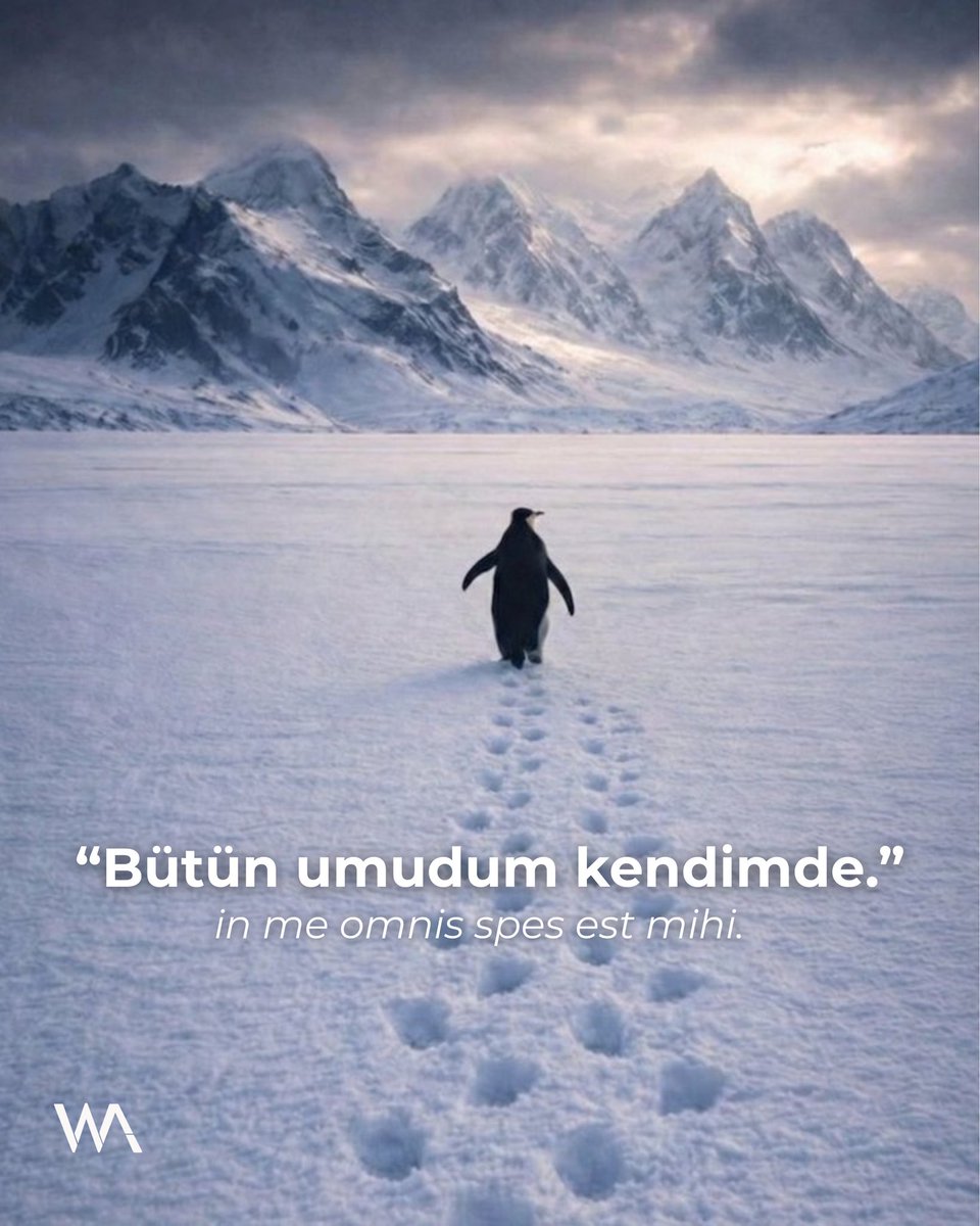 in me omnis spes est mihi.