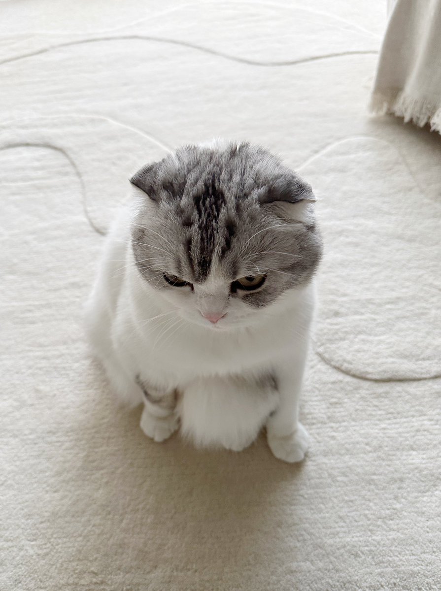 😾？