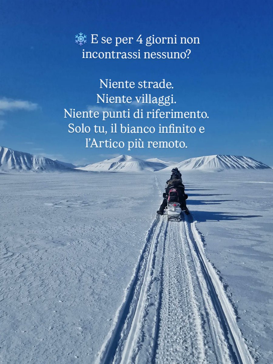 Tiportoanord ❄💙 tweet media