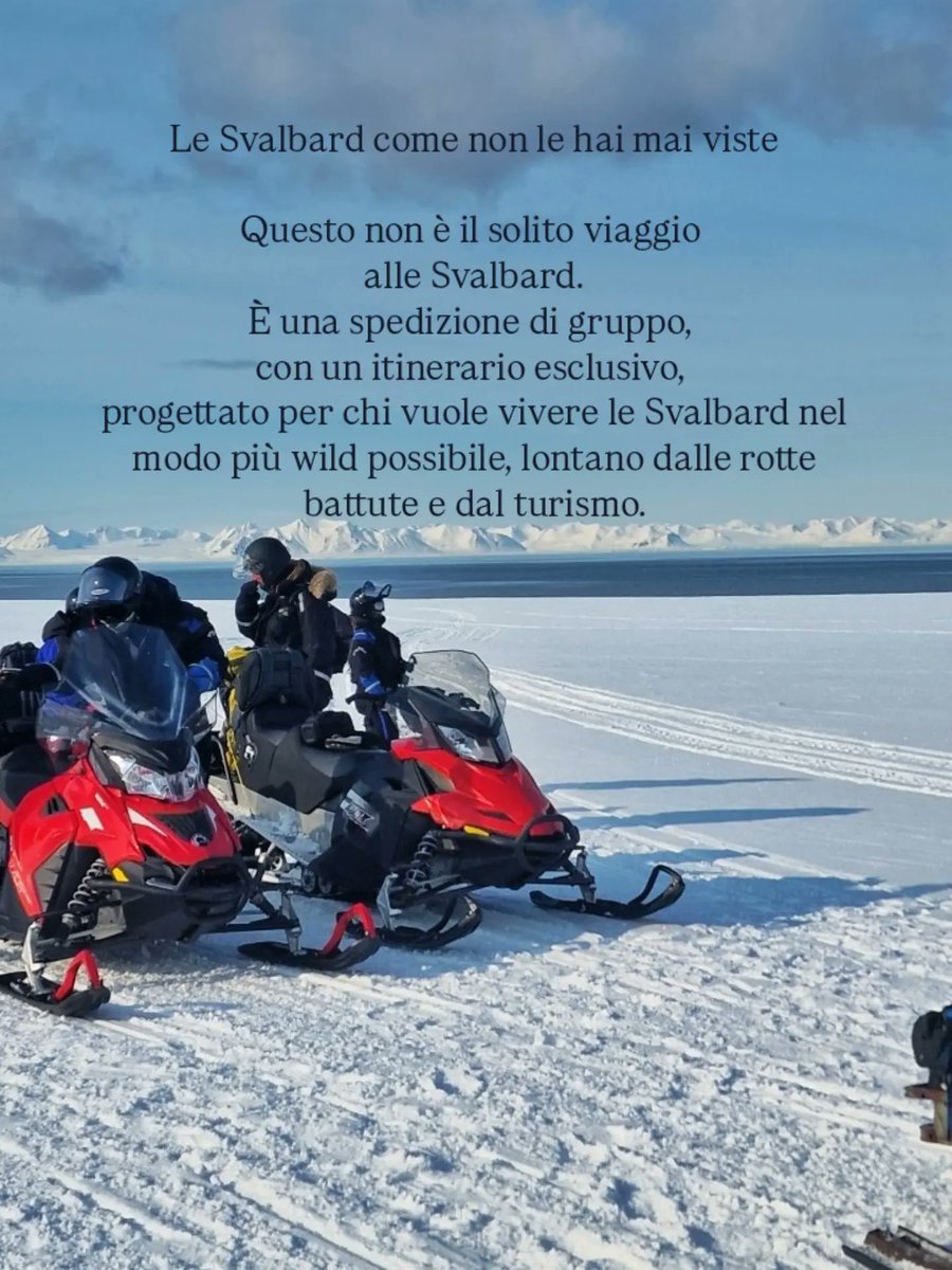 Tiportoanord ❄💙 tweet media