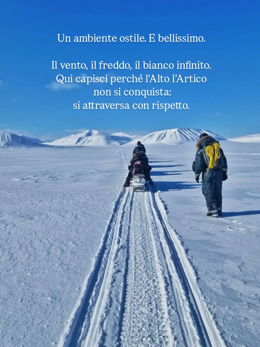 Tiportoanord ❄💙 tweet media