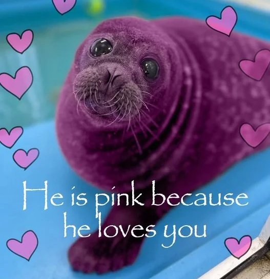 TFConnect tweet media