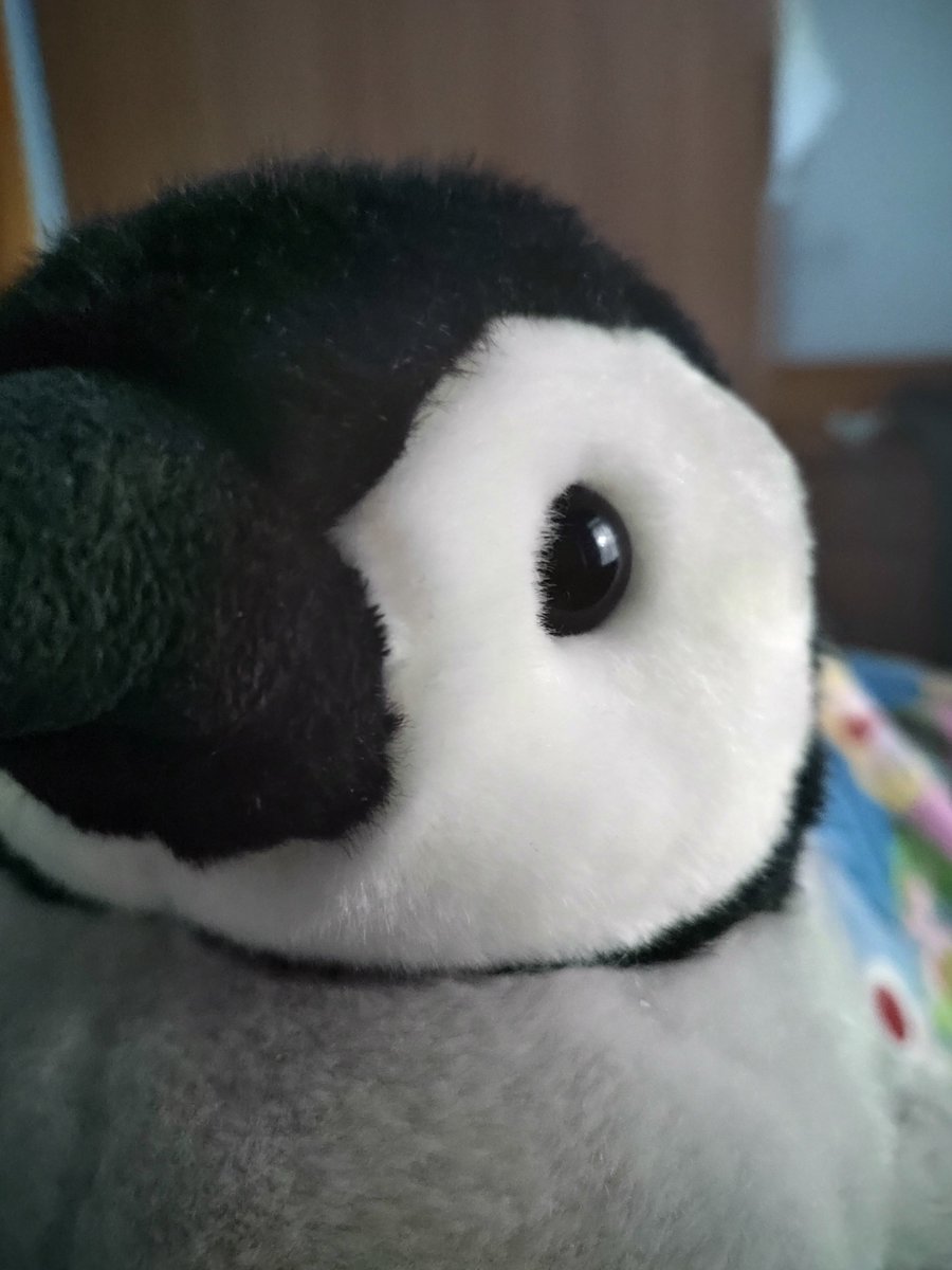 蠢蛋🐧 tweet media