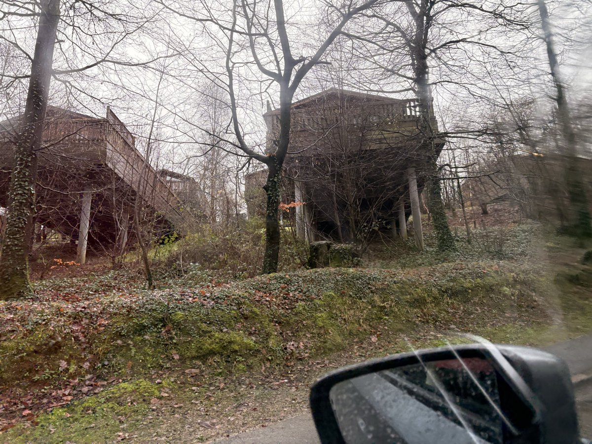 Steph ☀️ tweet media