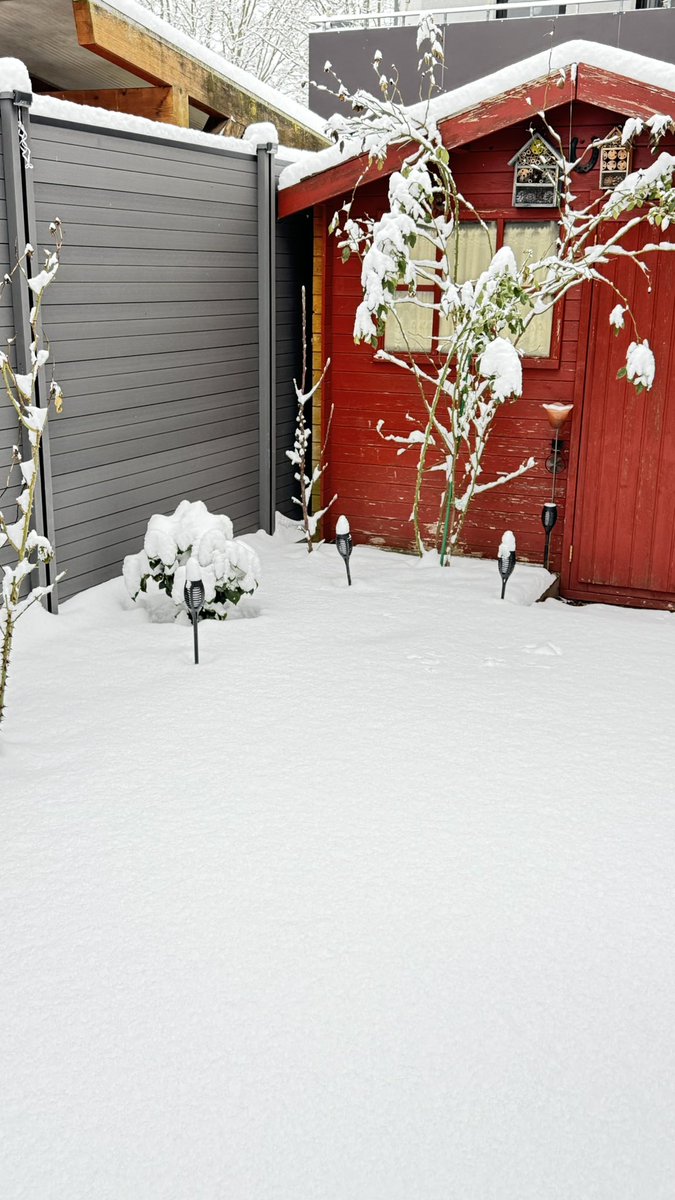 Lambayı yakma, bırak!

Kalbe bir bıçak gibi giren hatıraların

dilsiz olduklarını anlıyorum.

Kar yağıyor

ve ben hatırlıyorum.