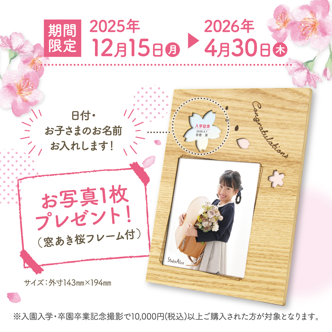 スタジオアリス (@studio_alice) / Posts / X