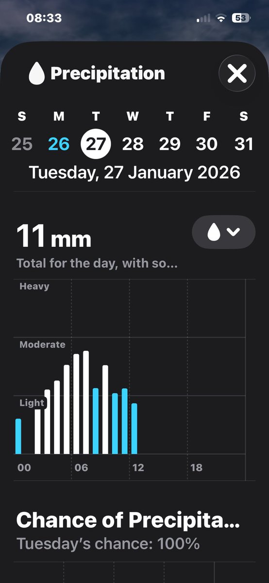 Lisa F 🐾❤️ tweet media