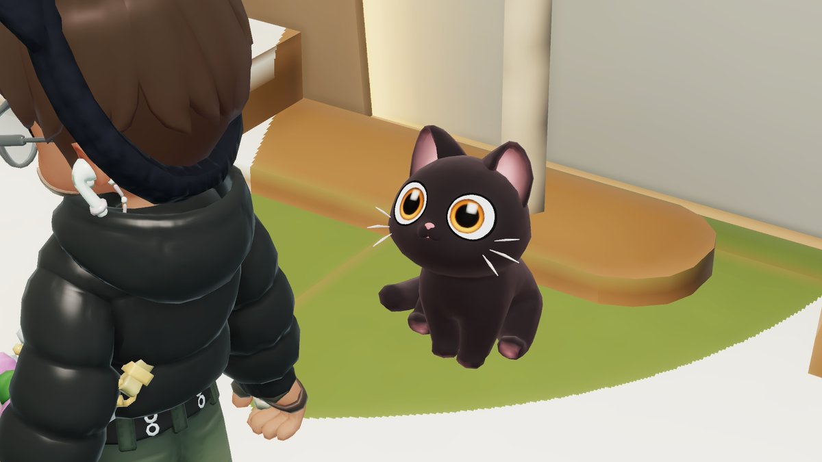 오늘 거믄 고냐이 떳는데 눈이 미스야 ㅠㅠ