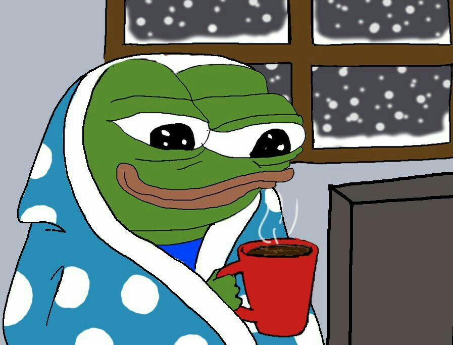 FroggyXBT's tweet photo. Day 14:
Short equities on @QFEX 
Short $KAITO on @HyperliquidX 
Short $PENGUIN on @derp_trade
99% portfolio in "NO" bets on pre-market fdv bets on @Polymarket https://t.co/9nN3jJGDo3