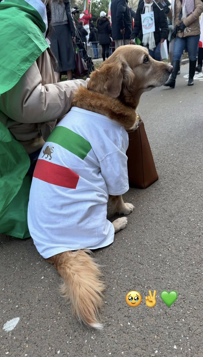 یکی از قشنگ ترین عکس هایی که از بلژیک دیروز دیدم