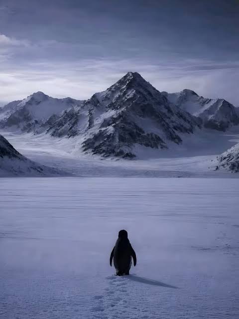 Timothy McCloud tweet media