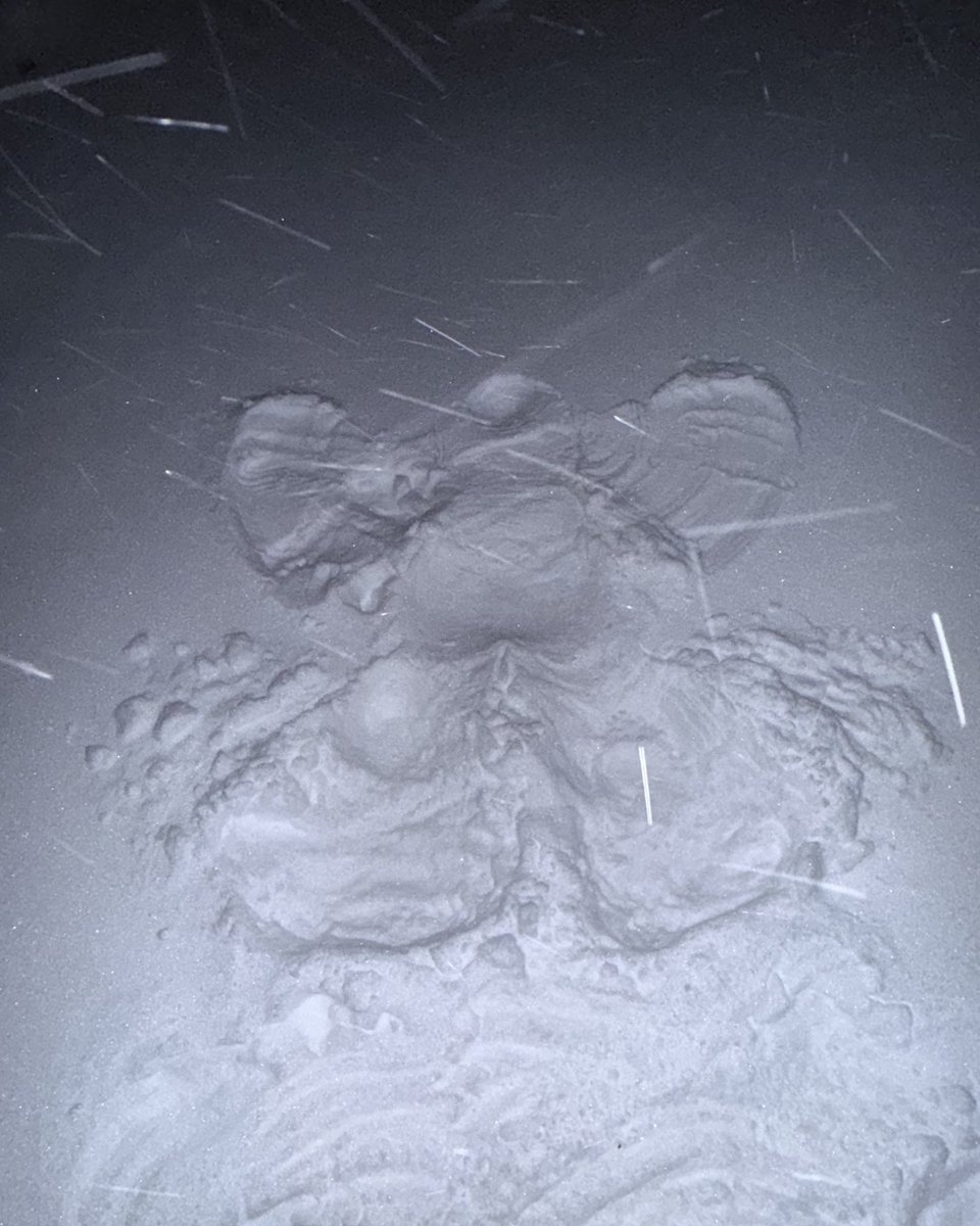 computer tweet media