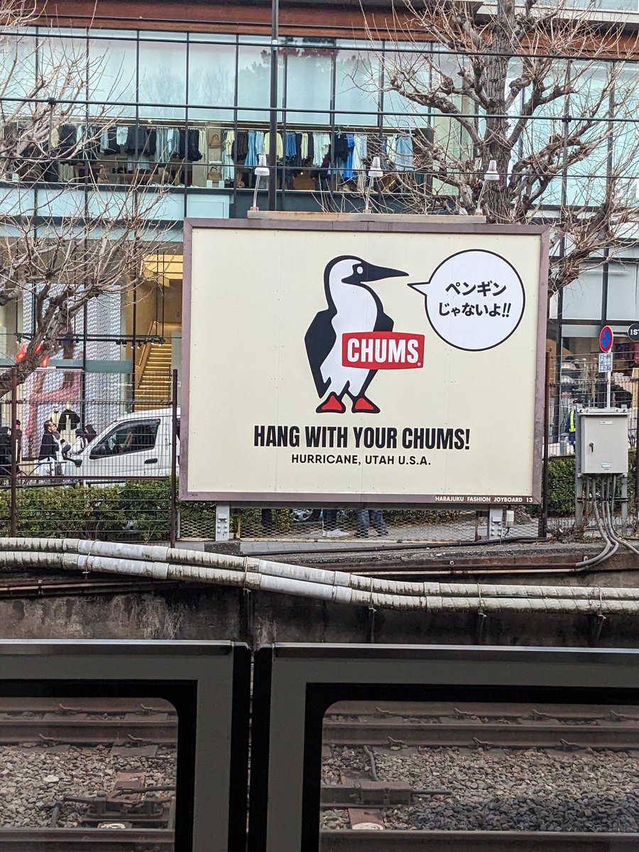原宿駅の多分バカ高い広告看板で誤解を解くカツオドリです