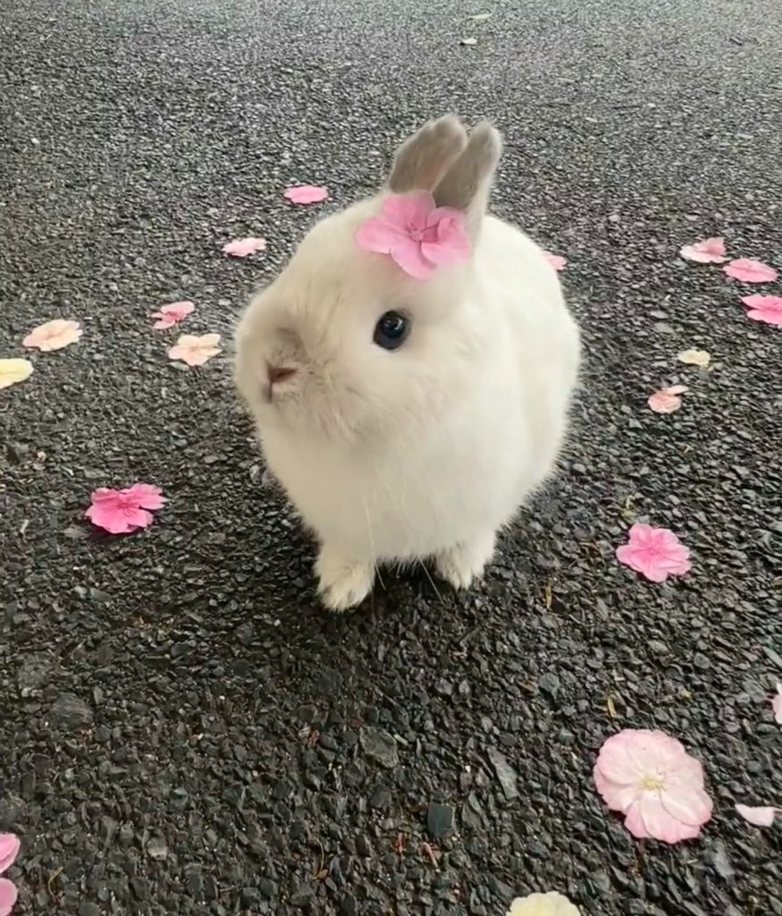 heart_jpg's tweet image. 