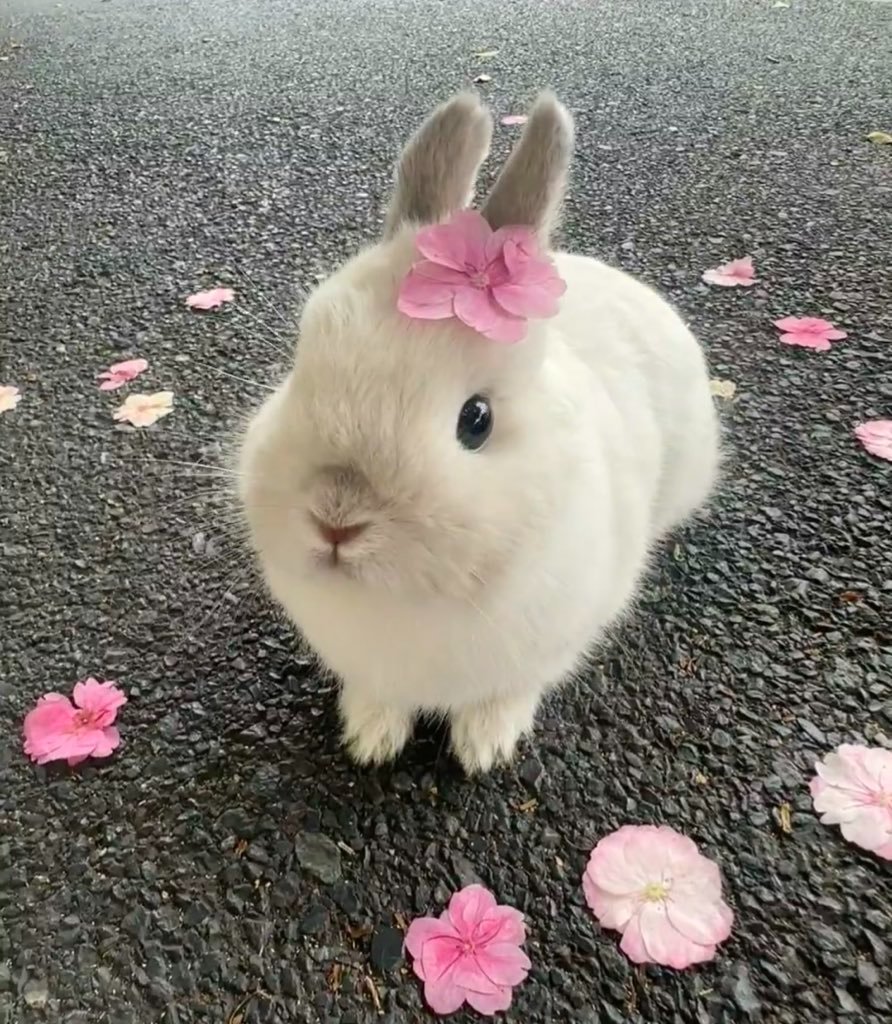 heart_jpg's tweet image. 