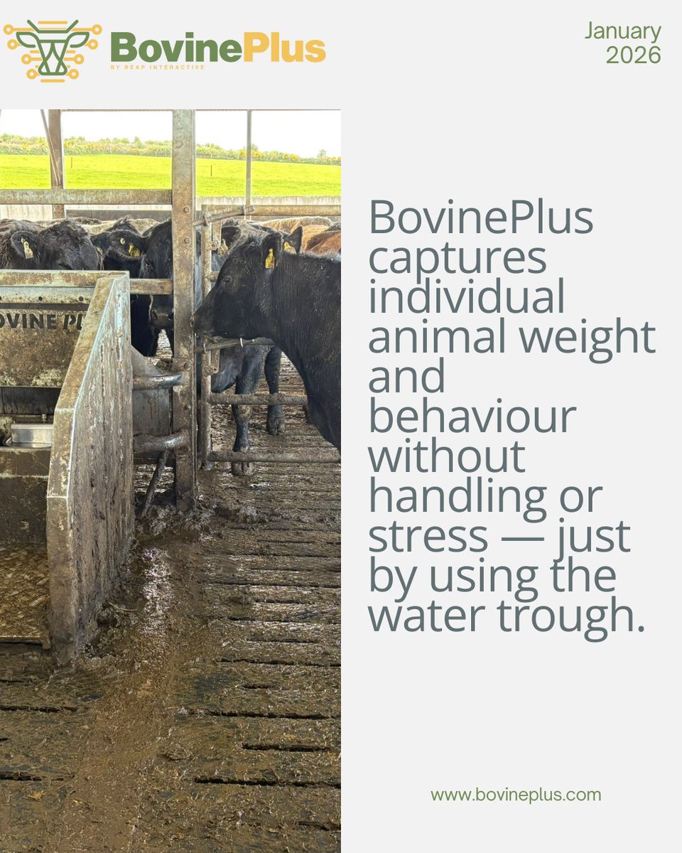 BovinePlus tweet media