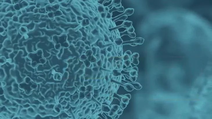 الاستشاري عبدالله عسيري:

•لا داعي للقلق بشأن فيروس نيباه.

•هو فيروس حيواني المنشأ ومعروف منذ 1998.

•ينتقل للإنسان فقط عبر المخالطة المباشرة للحيوانات المصابة أو استهلاك منتجات ملوثة بإفرازات الخفافيش.

•تظهر حالات متفرقة سنوياً في مناطق محددة.

•احتمالات حدوث أوبئة واسعة