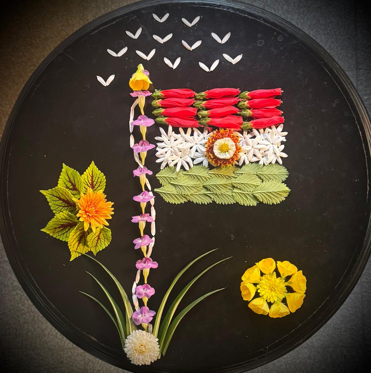 प्रजासत्ताक दिनाच्या मनःपूर्वक शुभेच्छा..