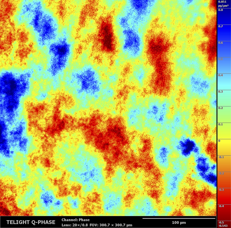 TELIGHT Co. tweet media