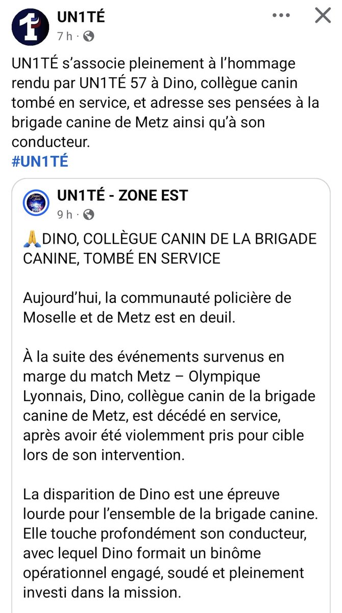 jccouvyUN1TE's tweet image. Une pensée pour mes collègues de #Metz qui sont bien triste aujourd'hui.

Nous venons de perdre DINO, un coéquipier canin, tombé au champ d'honneur suite aux violences d'après match Metz- Olympique Lyonnais 😔

Repose en paix DINO 💙🤍❤️ 🫡

@UN1TE_policenat
@Interieur_Gouv