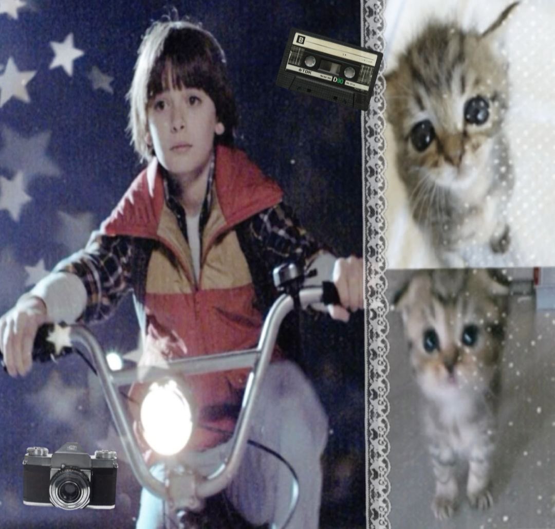 ℒ𝑒𝓍 tweet media