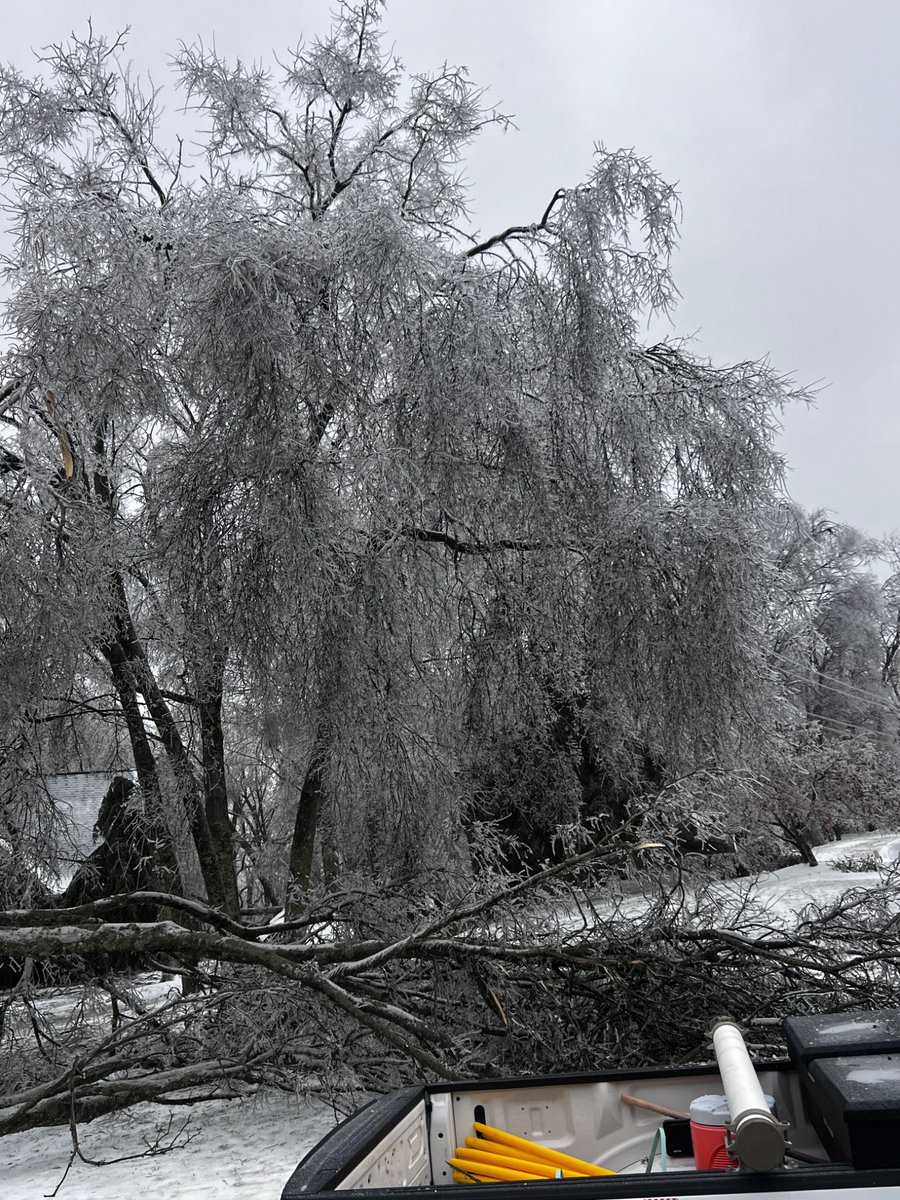 Miller 2.0 🍊 tweet media