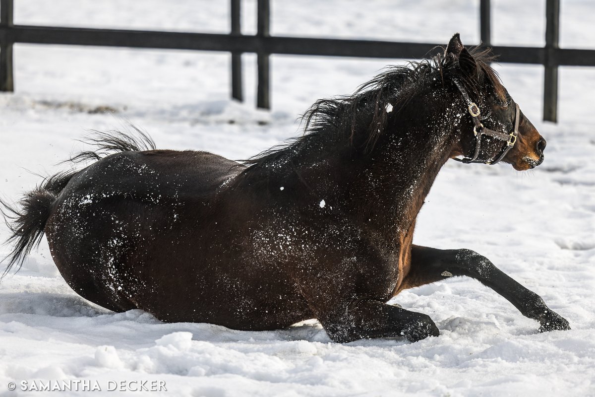 Samantha Decker (she/her) 📷 tweet media