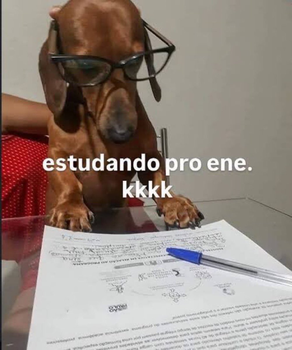 ellyhyyh's tweet image. um sonho: 800 de média