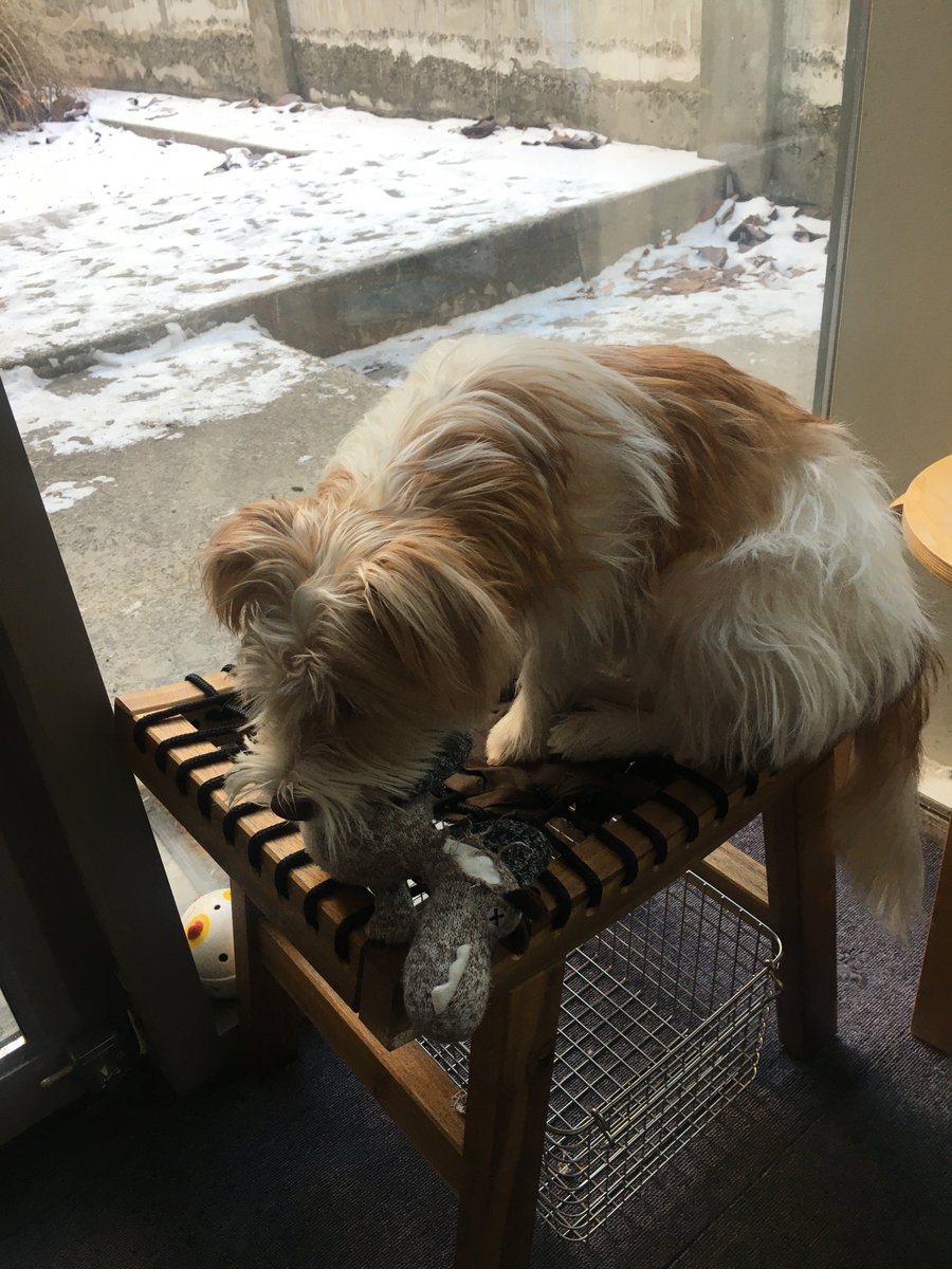 🍋‍🟩 tweet media