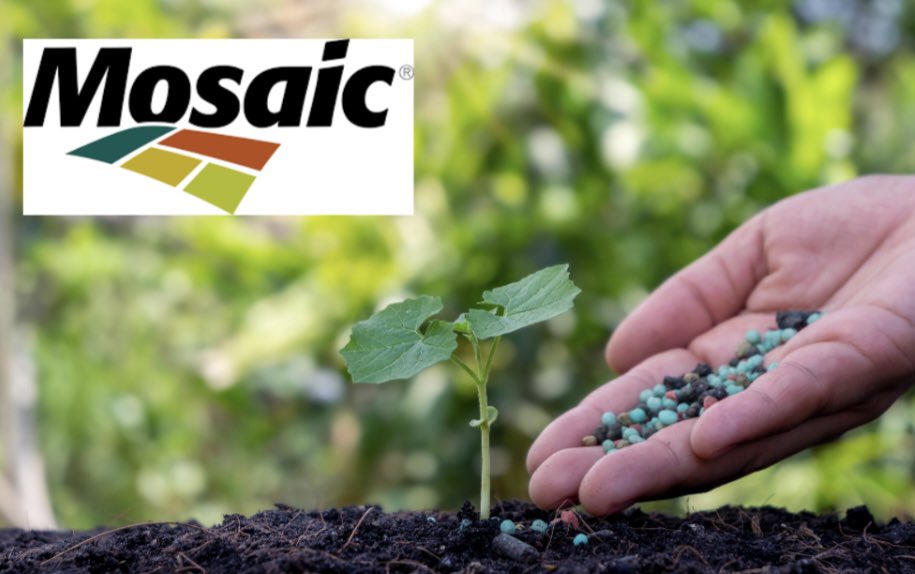 Blaine Forsberg MSc tweet media