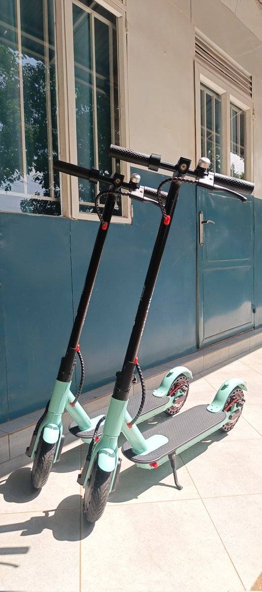 Digital Bikes tweet media