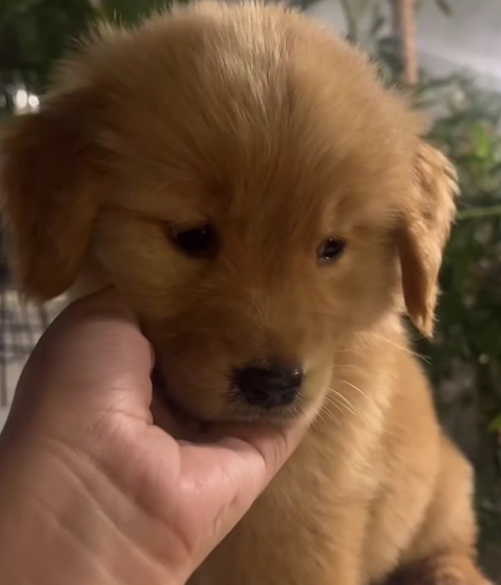 ป่าว เค้าไม่ได่ขี้งอนจัยขนาดนั้น (แค่คิดถึงเป้นจำนวนมาก)