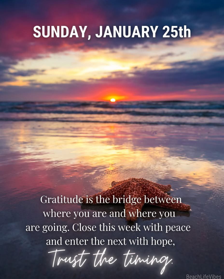 MarkMcCrite's tweet image. 