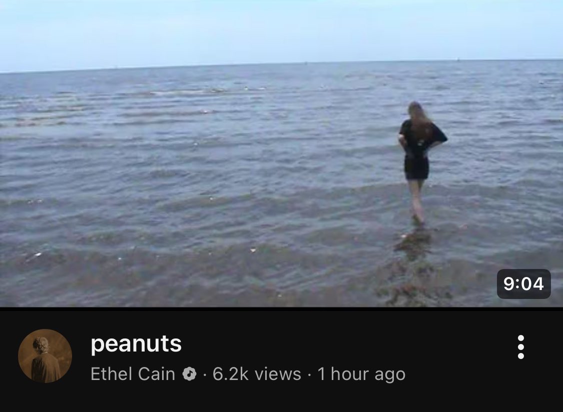 Ethel Cain Data tweet media