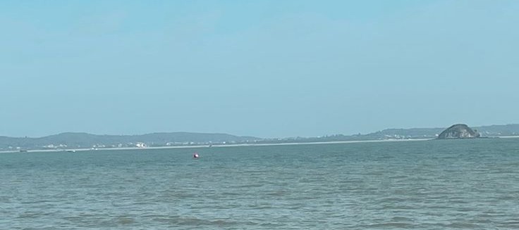 𝚂𝙽 𝖆𝖊𝖘𝖙𝖍𝖊𝖙𝖎𝖈 tweet media