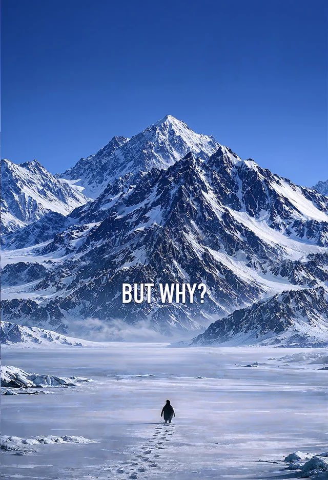 First we had “I Believe.” Now we have “But why?” What inspirational 2 word sentence will be next?