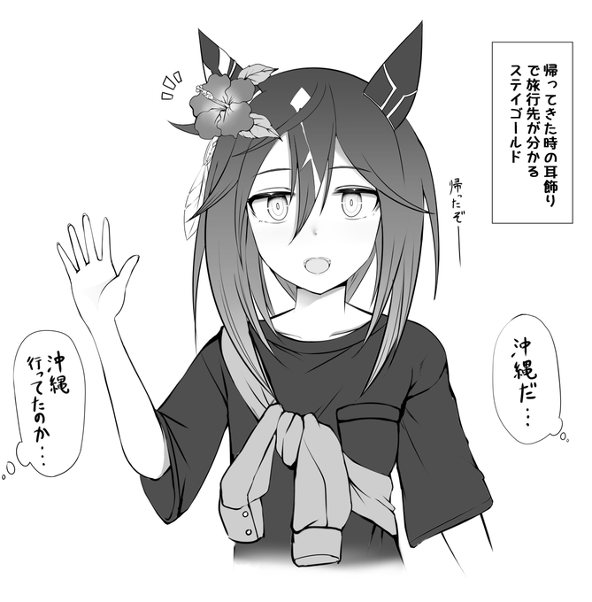 ステゴのヒミツ 