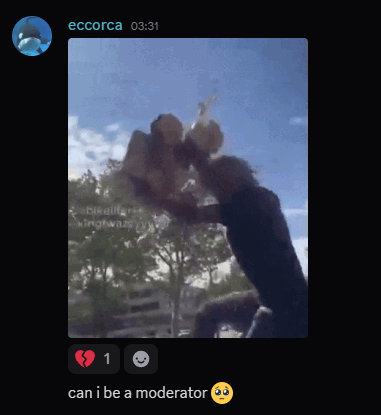 Full Stacked Starship |🇮🇳| 🇺🇦 tweet media