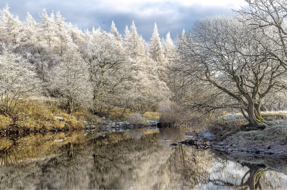 Yorkshire Dales National Park tweet media