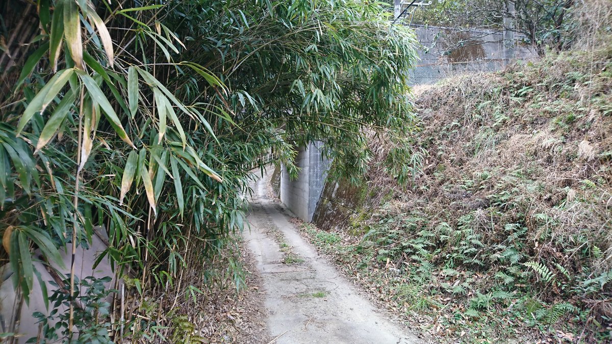 Gentleman in Japan tweet media