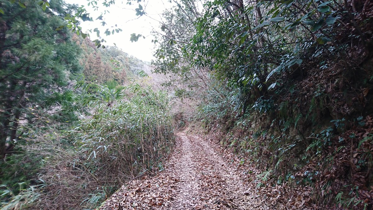 Gentleman in Japan tweet media