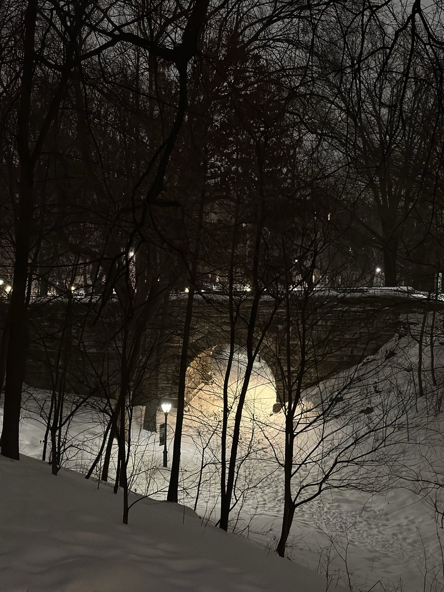 ECAPHD's tweet image. Good night #NYC @CentralParkNYC Get some rest.