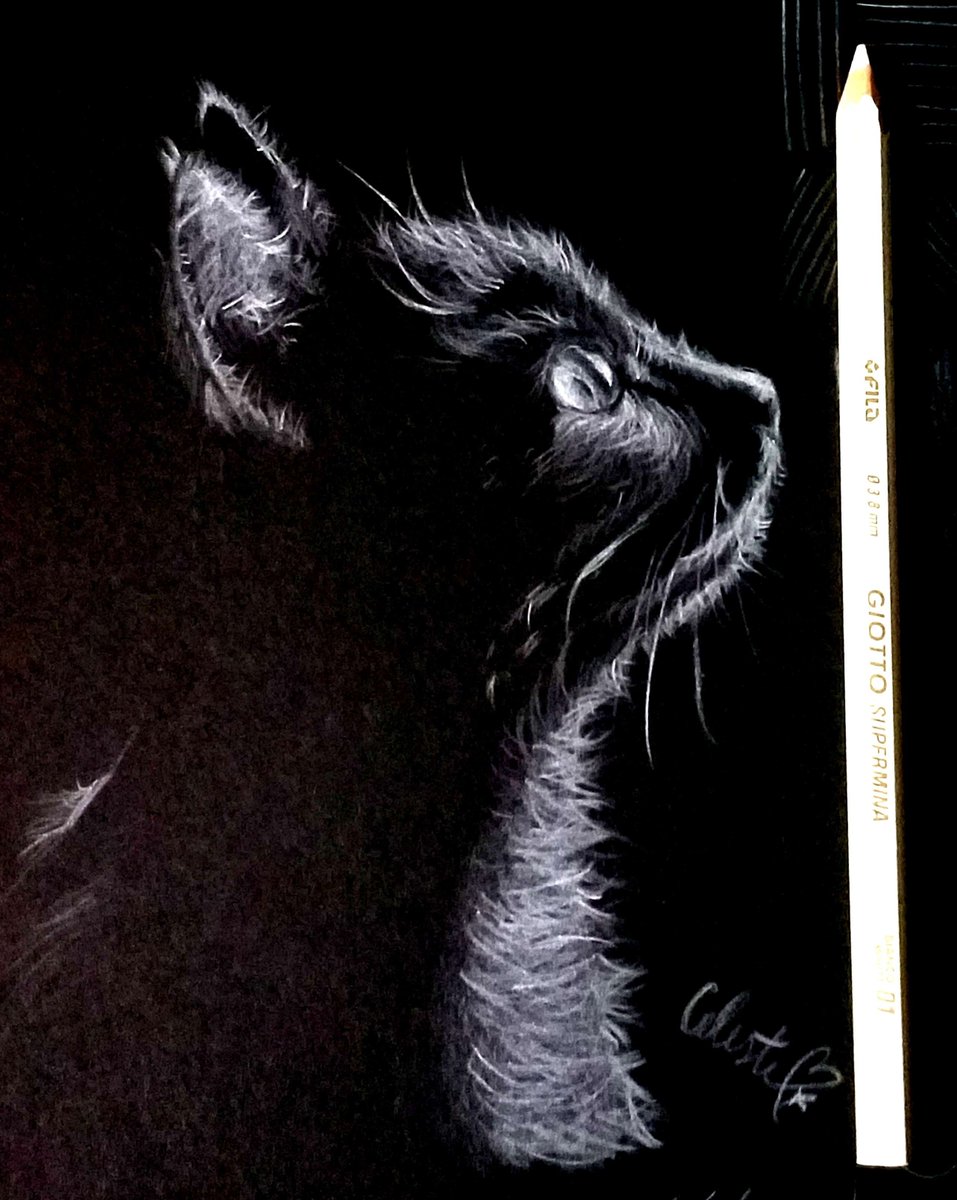 ThatCelesteXD's tweet photo. contraste
#catlover #illustration #artwork https://t.co/ictH6F9prd