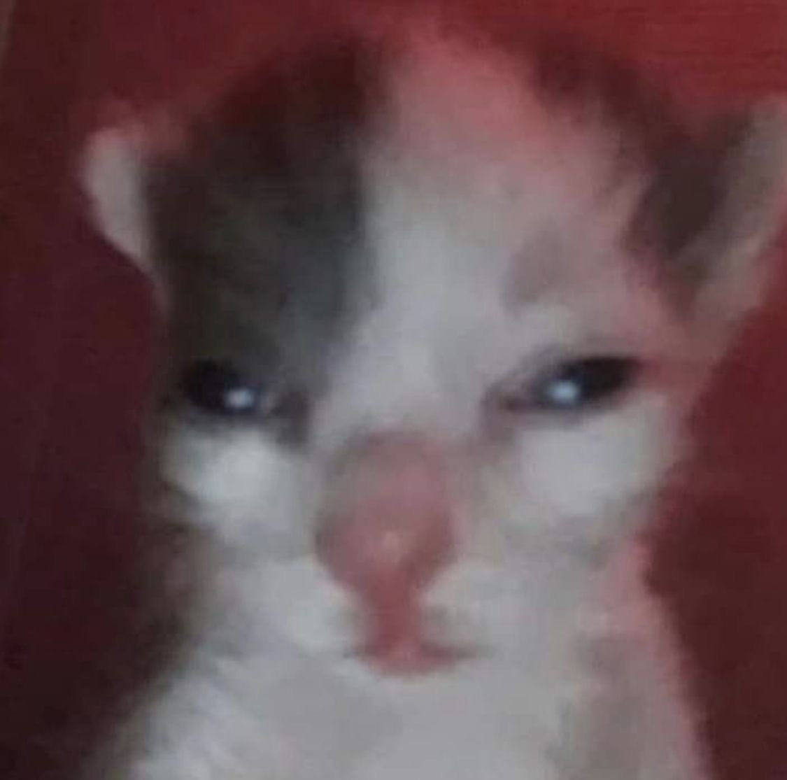 그네처타러오라고 초대를핵으면 언제몇날몇시인지를 먼저  알려줘야될꺼아냐그게예의지,이건 뭐프로필도업고시바어쩌라는?