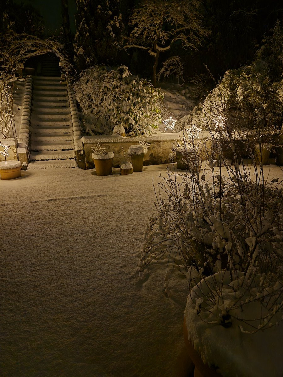 Haifischhäppchen tweet media