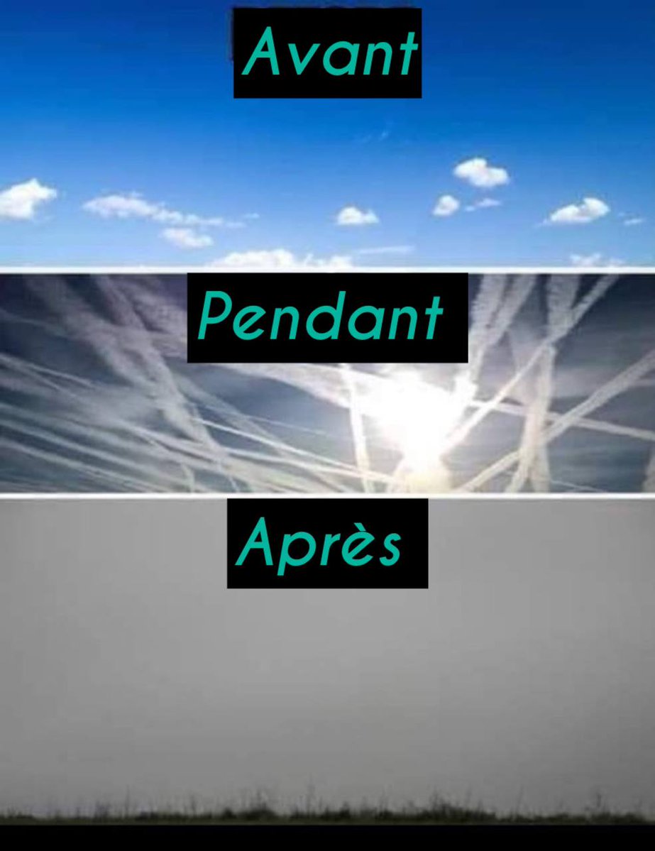 BlackBondPtv's tweet image. Qu’est ce qu’il y a de compliqué à comprendre ?