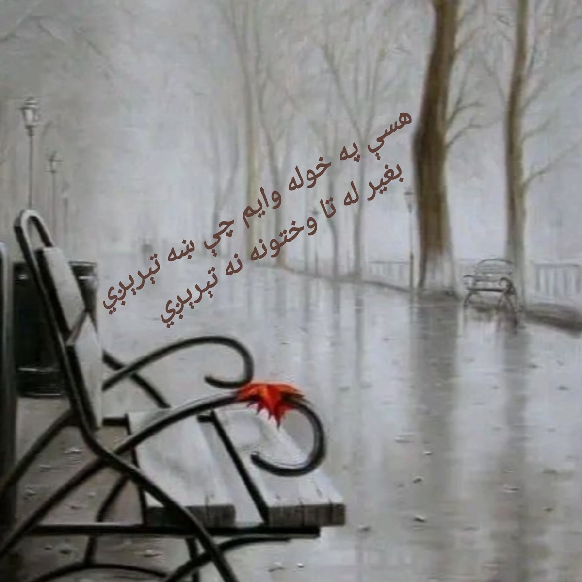 NedaMohammad_'s tweet photo. https://t.co/tjJ2oOajL8